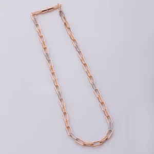 Talara Ray Chained Necklace